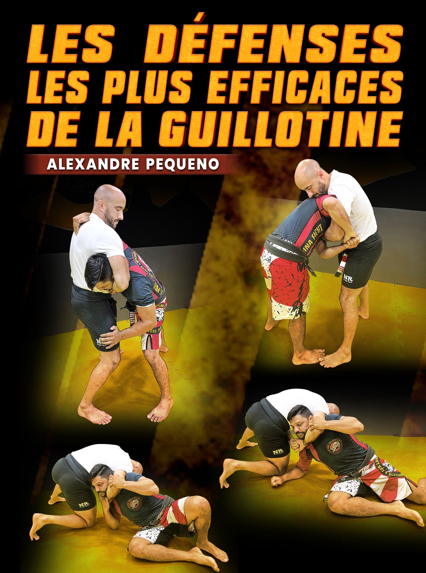 Les Défenses Les Plus Efficaces de la Guillotine by Alexandre Pequeno