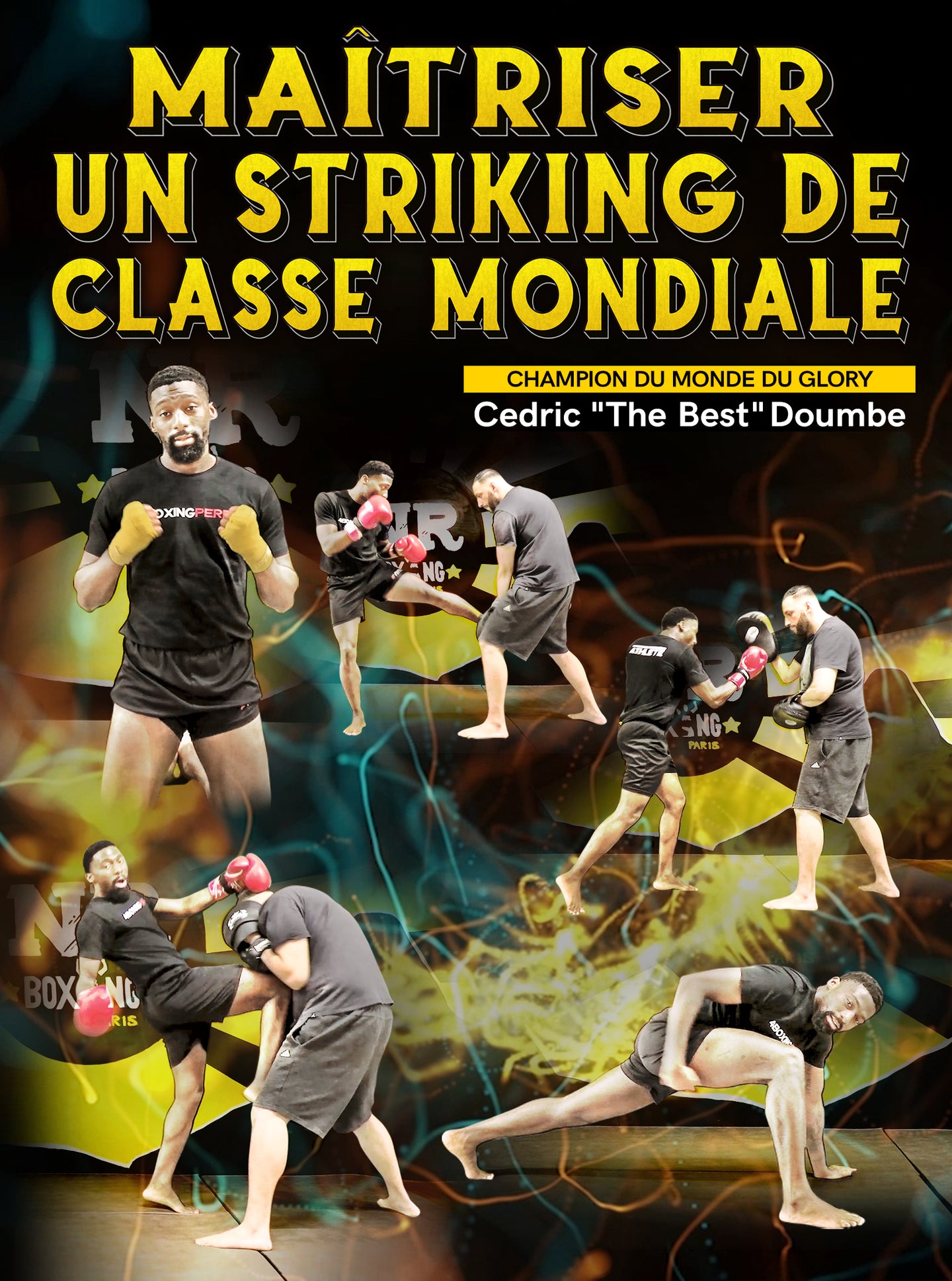 Maîtriser Un Striking De Classe Mondiale by Cedric Doumbe
